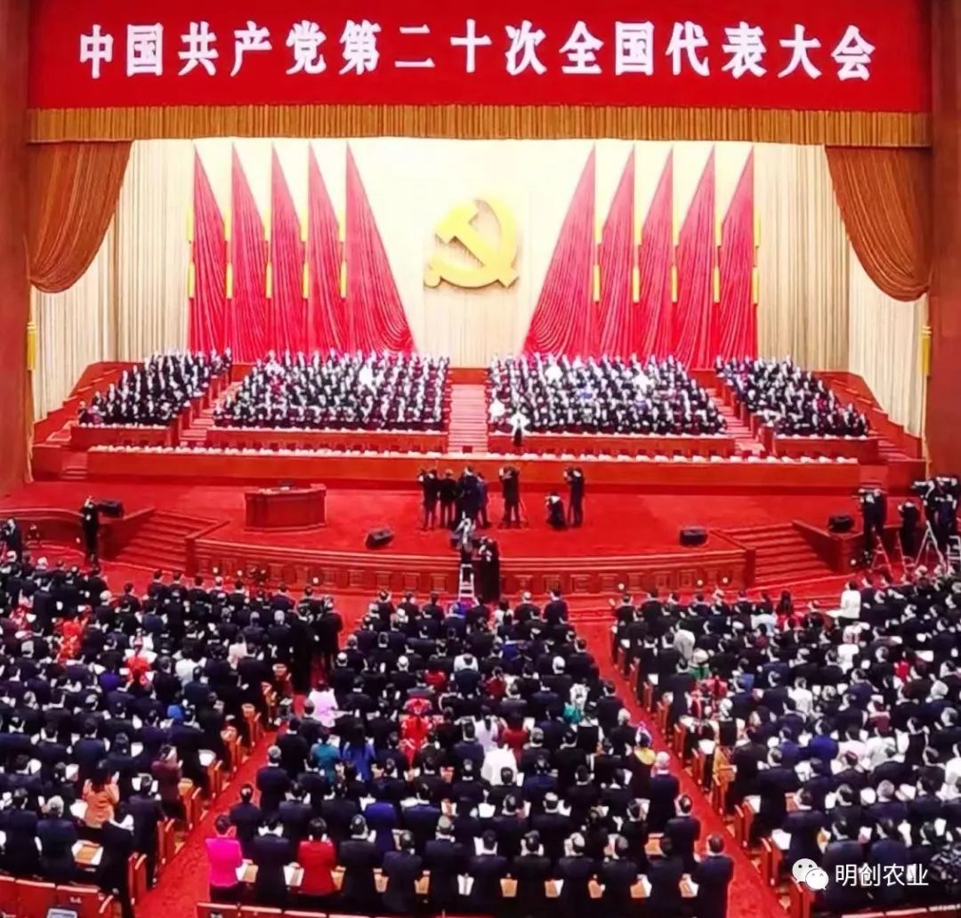 團結奮進(jìn)，愛我中華！