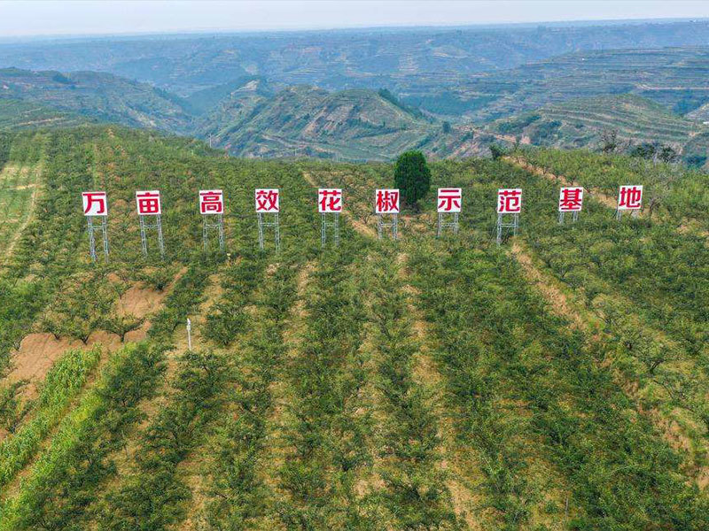 明創農業2022年時(shí)間線簡覽