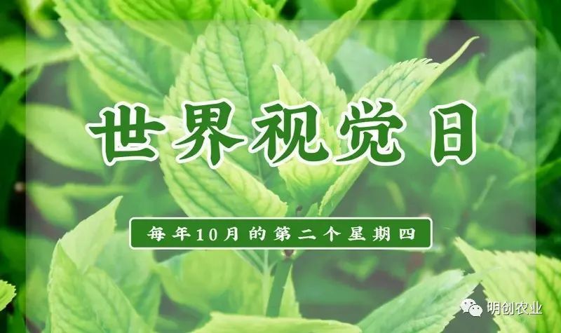 世界視覺日，百合來報道(dào)！